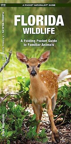 Florida Wildlife: An Introduction to Familiar Species: A Folding Pocket Guide to Familiar Animals (Wildlife and Nature Identification)